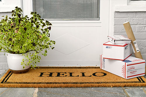 Front door mat, plant and packages resting next to front door.